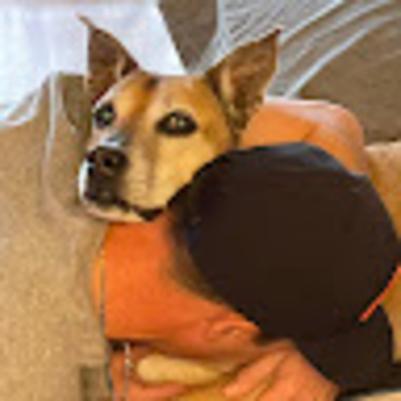 Meet your Posher, Kyle - Picture 1 of 1